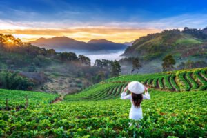 SRI LANKAN HIGHLANDS (7 DAYS – 6 NIGHTS)